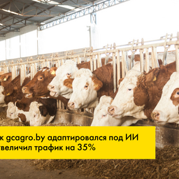Как мы заставили нейросети рекомендовать сайт клиента в ответах на запросы