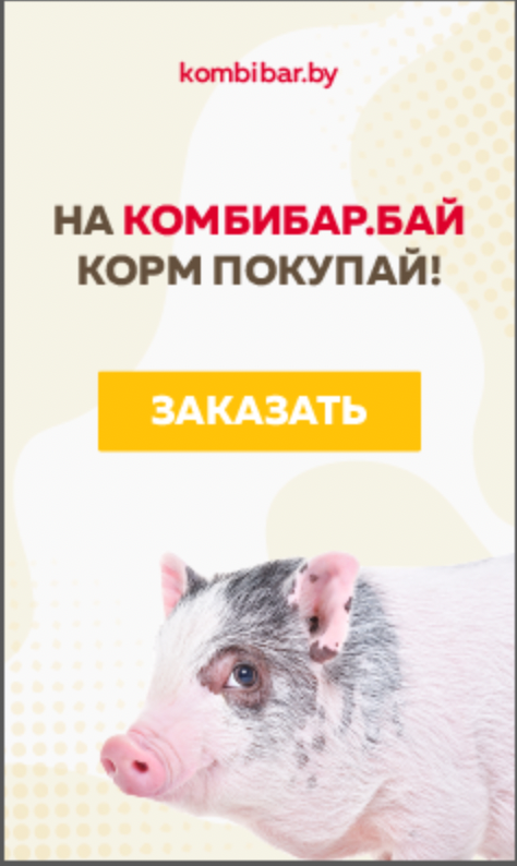 Пример рекламного креатива